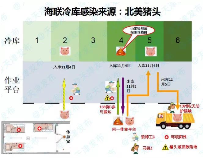 確定了！天津海聯(lián)冷庫感染來源為北美豬頭 | 浦東東航物流貨站通知